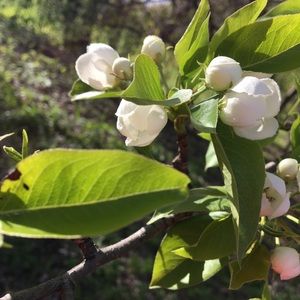 Meet your Posher, Olga